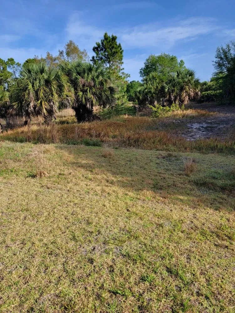 Top-rated landscape design in Grant Vlkria, FL by Grass Barbers Lawn Maint