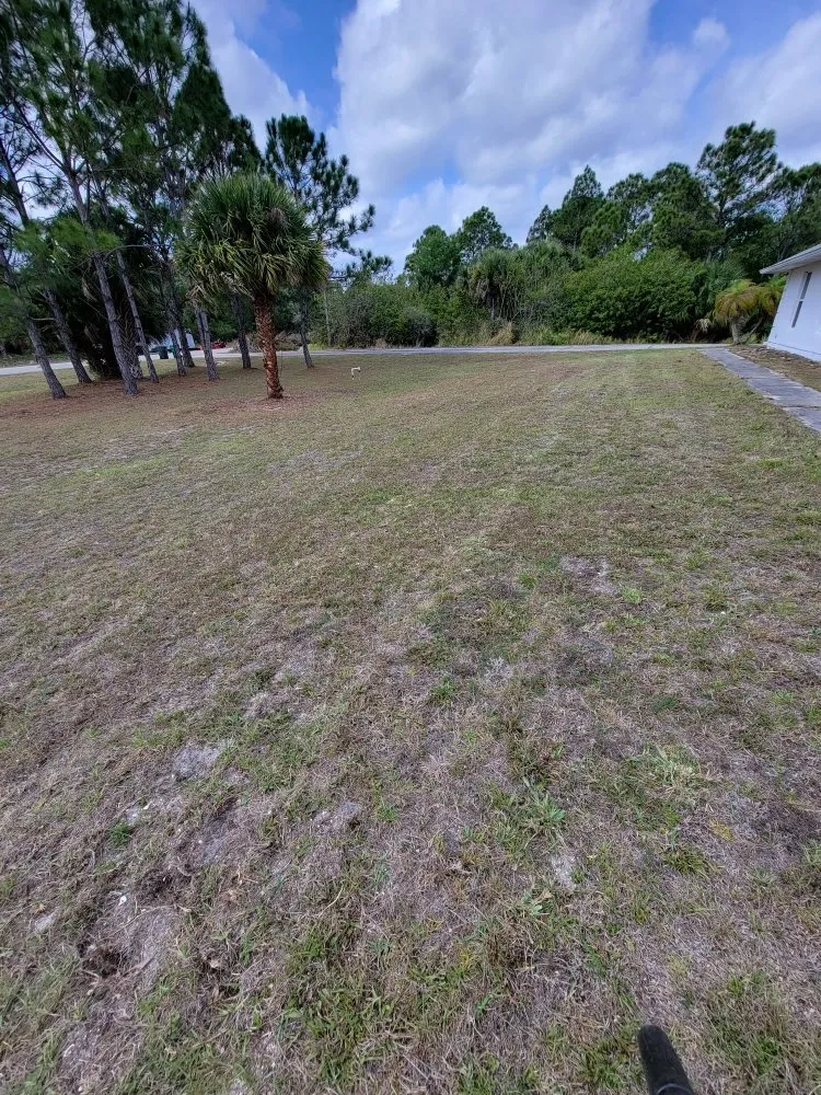 Reliable yard cleanup service for residential properties in Grant Vlkria, FL by Grass Barbers Lawn Maint