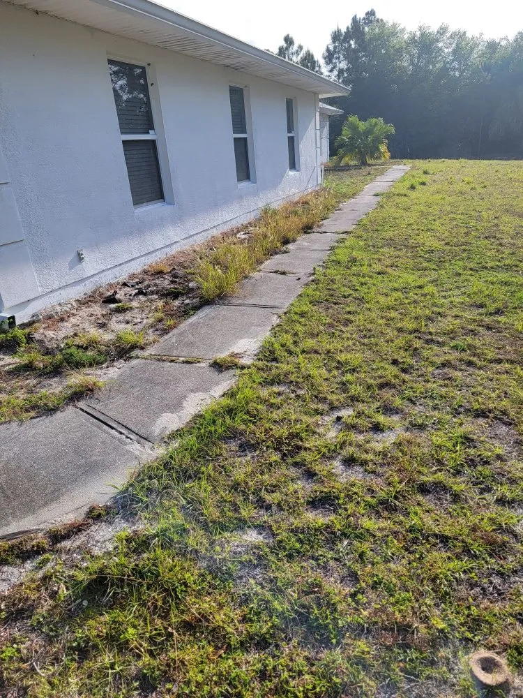 Reliable landscape design for homes in Grant Vlkria, FL by Grass Barbers Lawn Maint