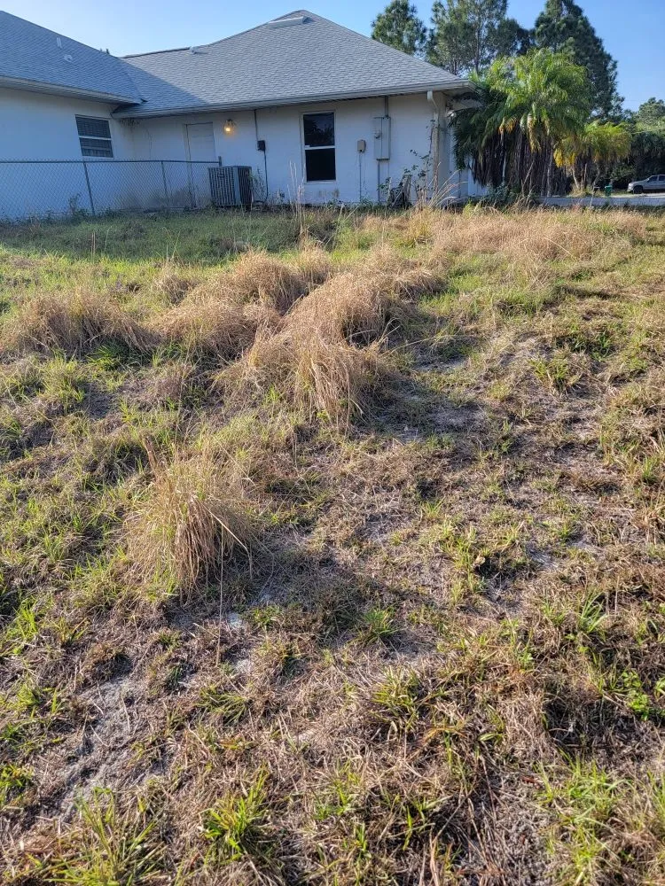 Professional yard maintenance in Grant Vlkria, FL - Grass Barbers Lawn Maint