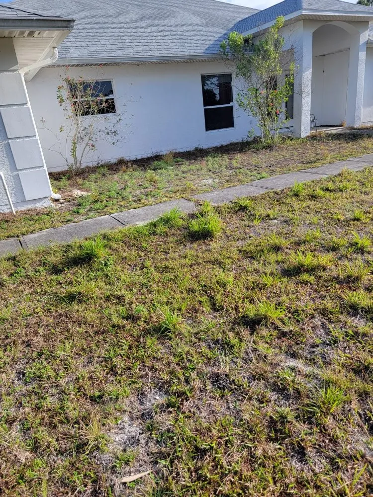 Reliable lawn mowing service in Grant Vlkria, FL - Grass Barbers Lawn Maint