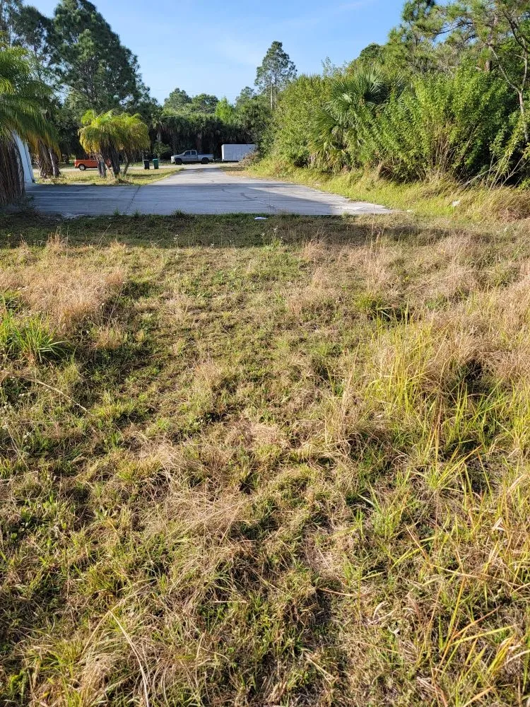 Affordable landscaping services experts serving Grant Vlkria, FL - Grass Barbers Lawn Maint