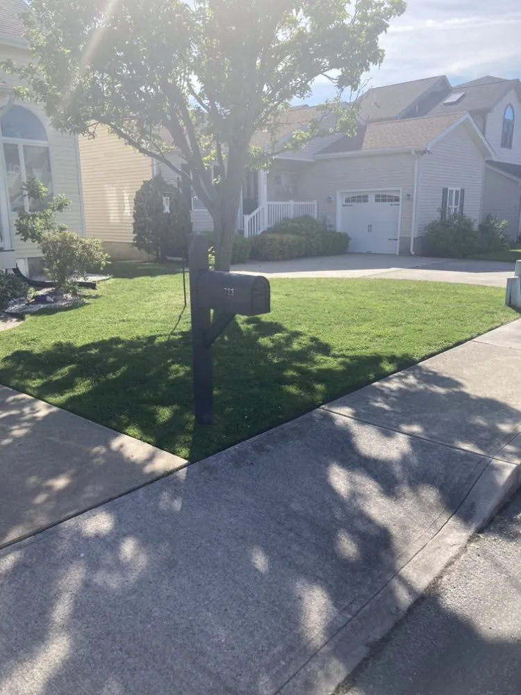 Professional yard cleanup service experts serving Ocean City, MD - Grass Boss