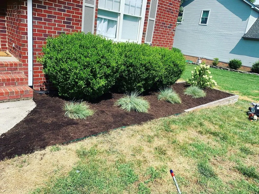 Affordable yard cleanup service in La Vergne, TN by Grass bros