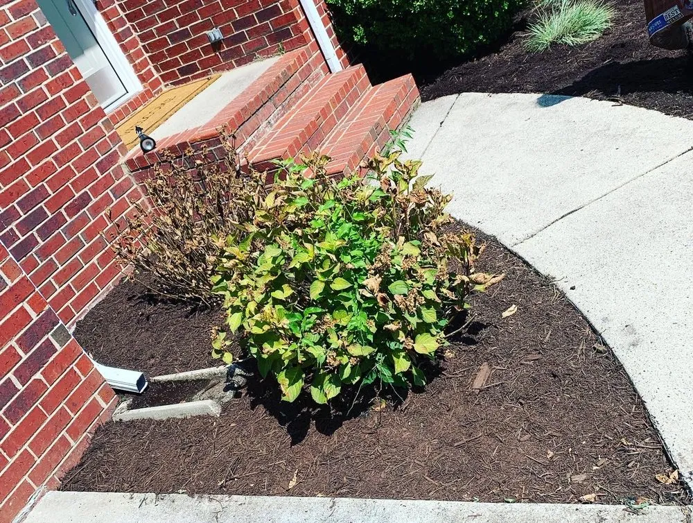 Top-rated lawn mowing service for outdoor upgrades in La Vergne, TN by Grass bros