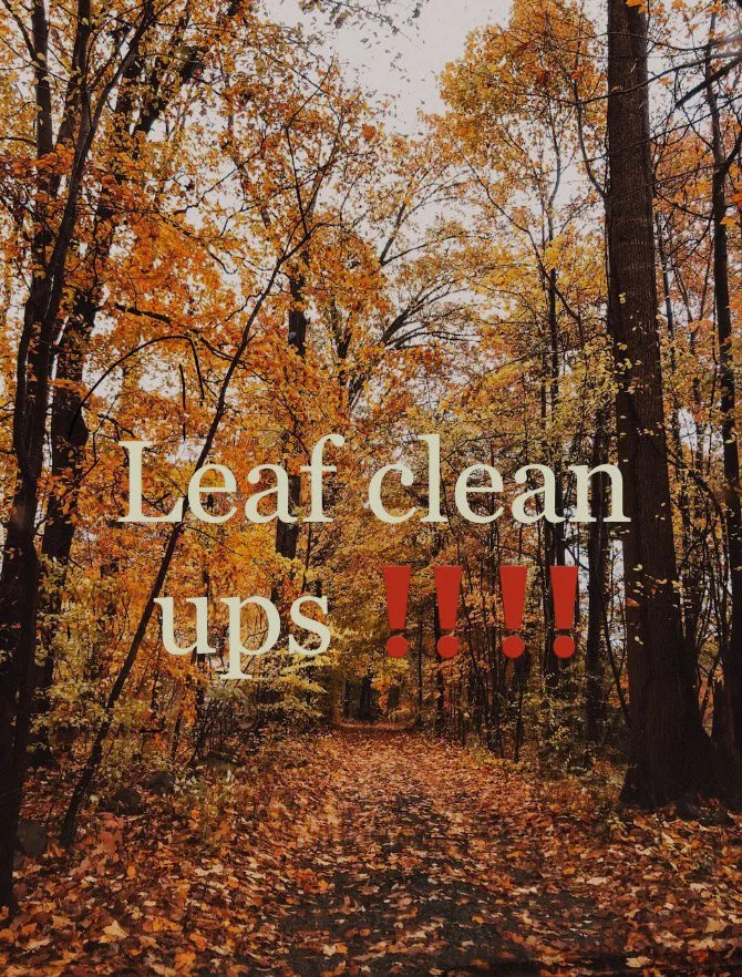 Expert landscape installation in La Vergne, TN by Grass bros