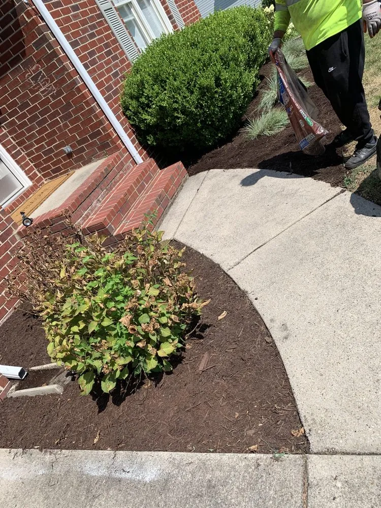 Local landscape installation near you in La Vergne, TN by Grass bros