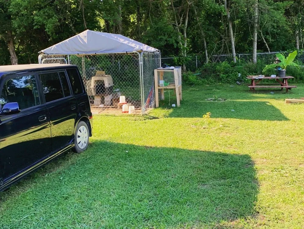 Reliable lawn care service for year-round maintenance across La Vergne, TN - Grass bros