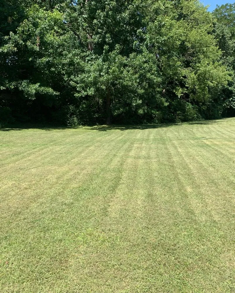 Affordable landscaping services for homes in La Vergne, TN by Grass bros