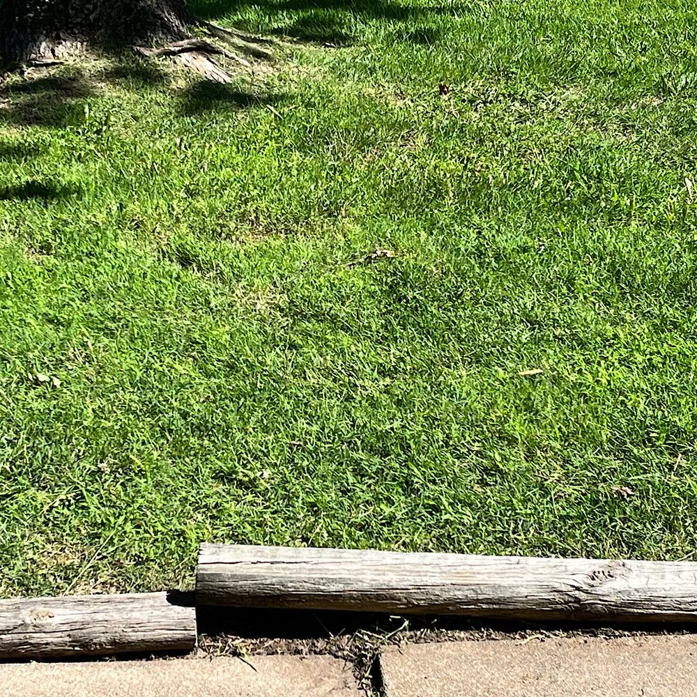 Affordable landscape installation experts serving Derby, KS - Grass Bros Mowing