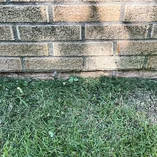 Top-rated landscaping services in Derby, KS by Grass Bros Mowing