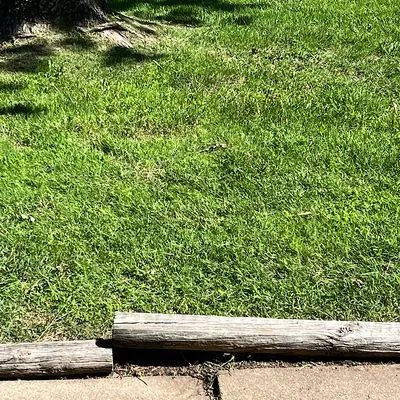 Grass Bros Mowing Logo