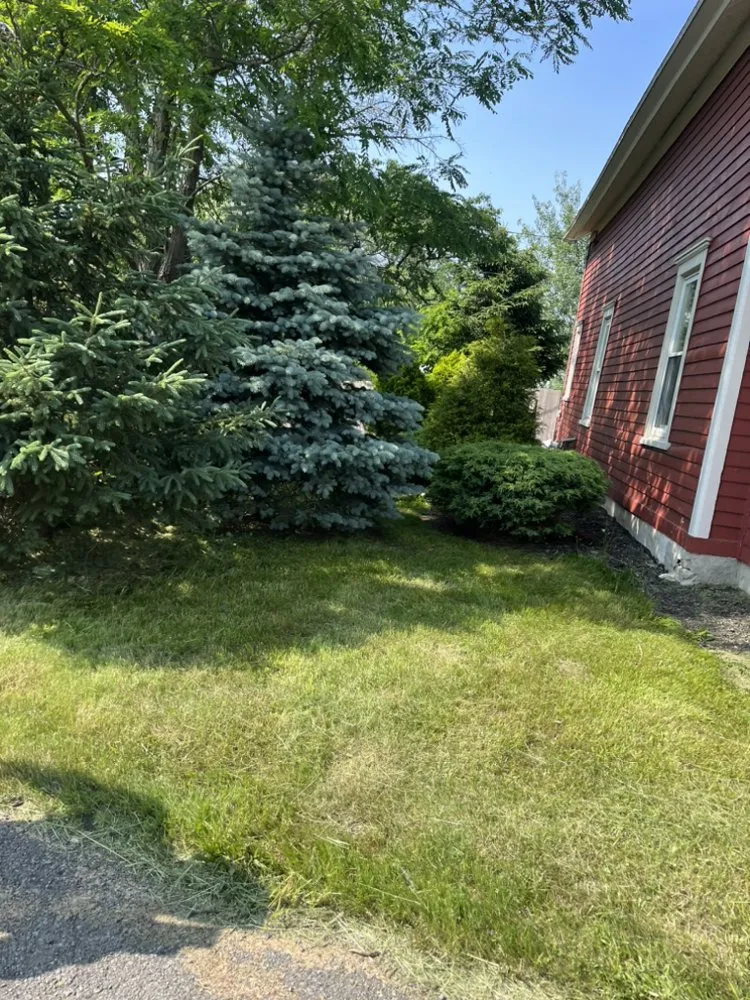 Affordable yard cleanup service for beautiful yards in Atlanta, NY by Grass Buster