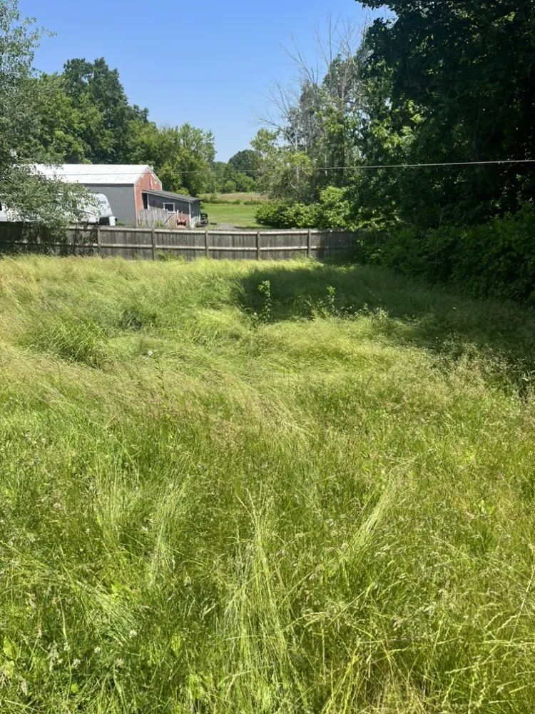 Custom landscape design experts serving Atlanta, NY - Grass Buster