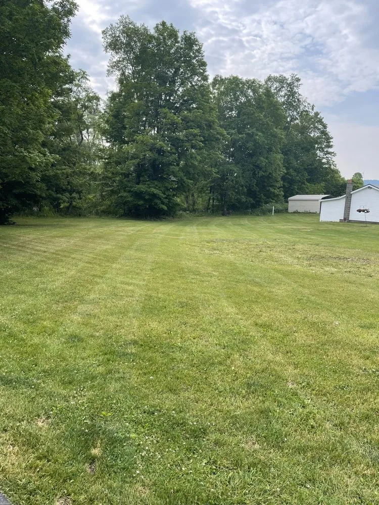 Reliable residential landscaping experts serving Atlanta, NY - Grass Buster