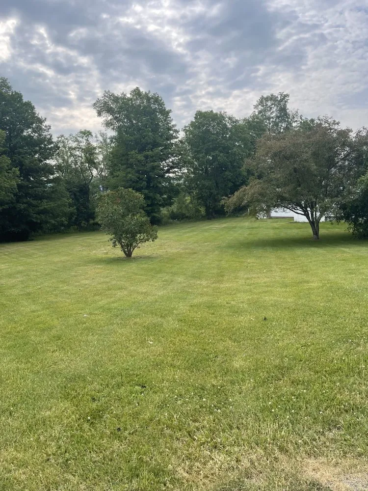 Expert landscape installation in Atlanta, NY - Grass Buster
