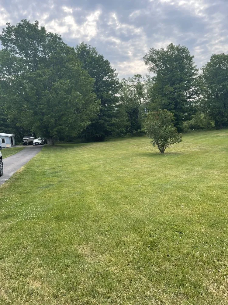 Professional landscape installation in Atlanta, NY - Grass Buster