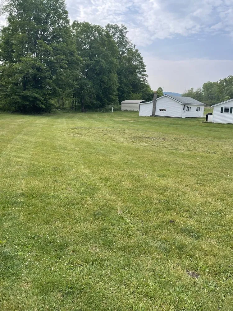 Trusted residential landscaping for outdoor upgrades in Atlanta, NY by Grass Buster