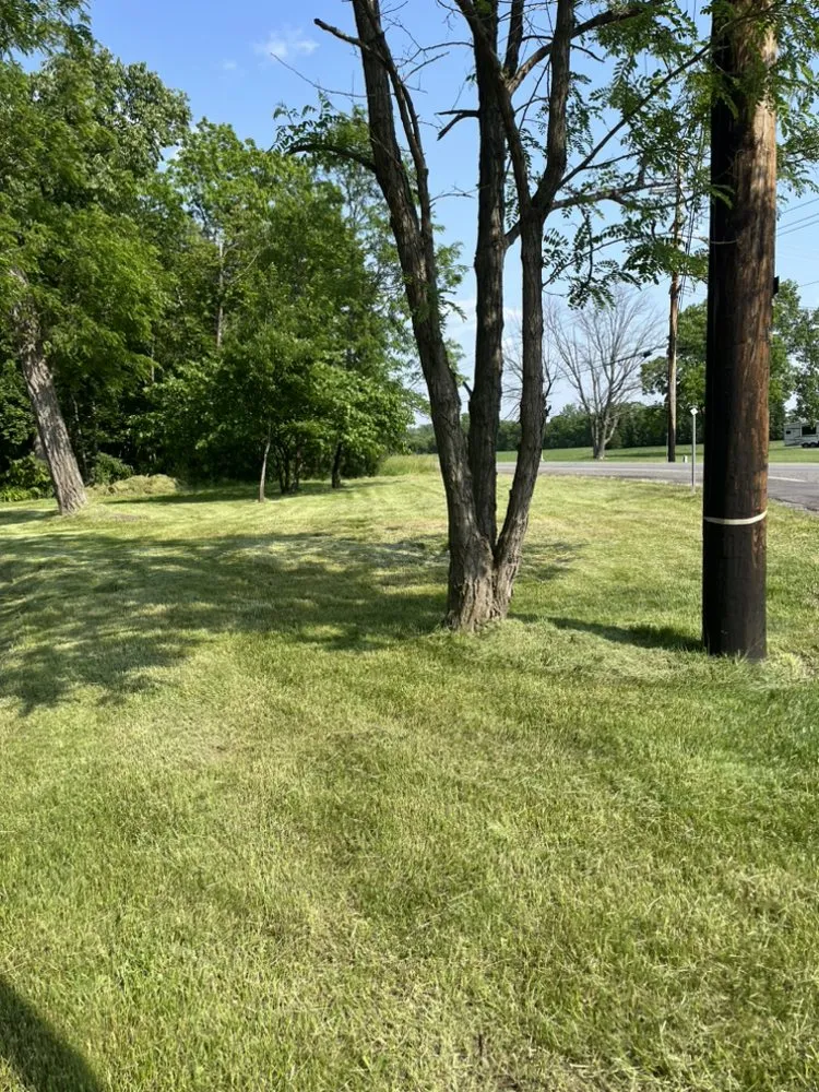 Top-rated yard maintenance experts serving Atlanta, NY - Grass Buster