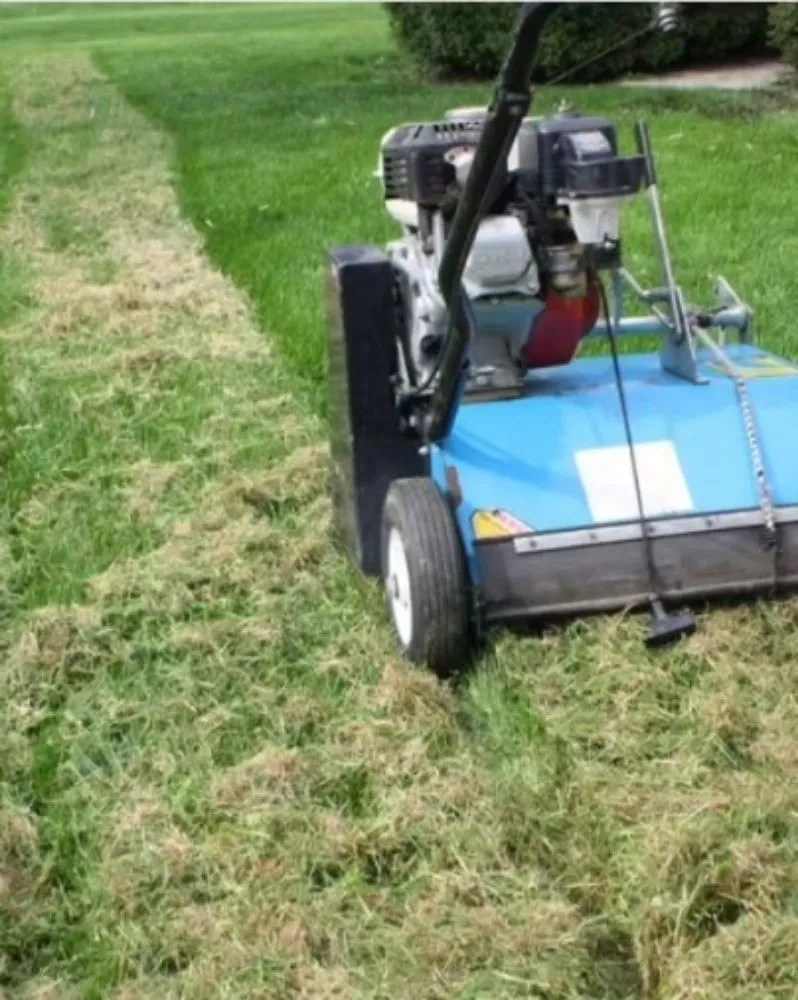 Custom residential landscaping for beautiful yards across Deweyville, UT - Grass Busters Lawn Care