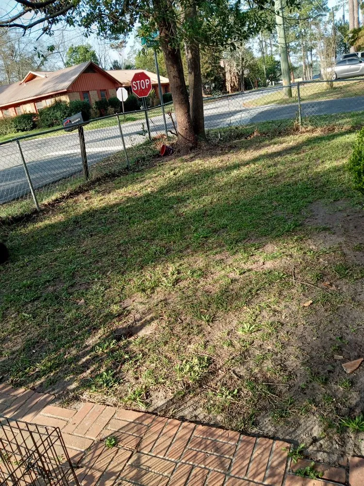 Top-rated landscaping services in Douglas, GA by Grass Busters Lawn Care