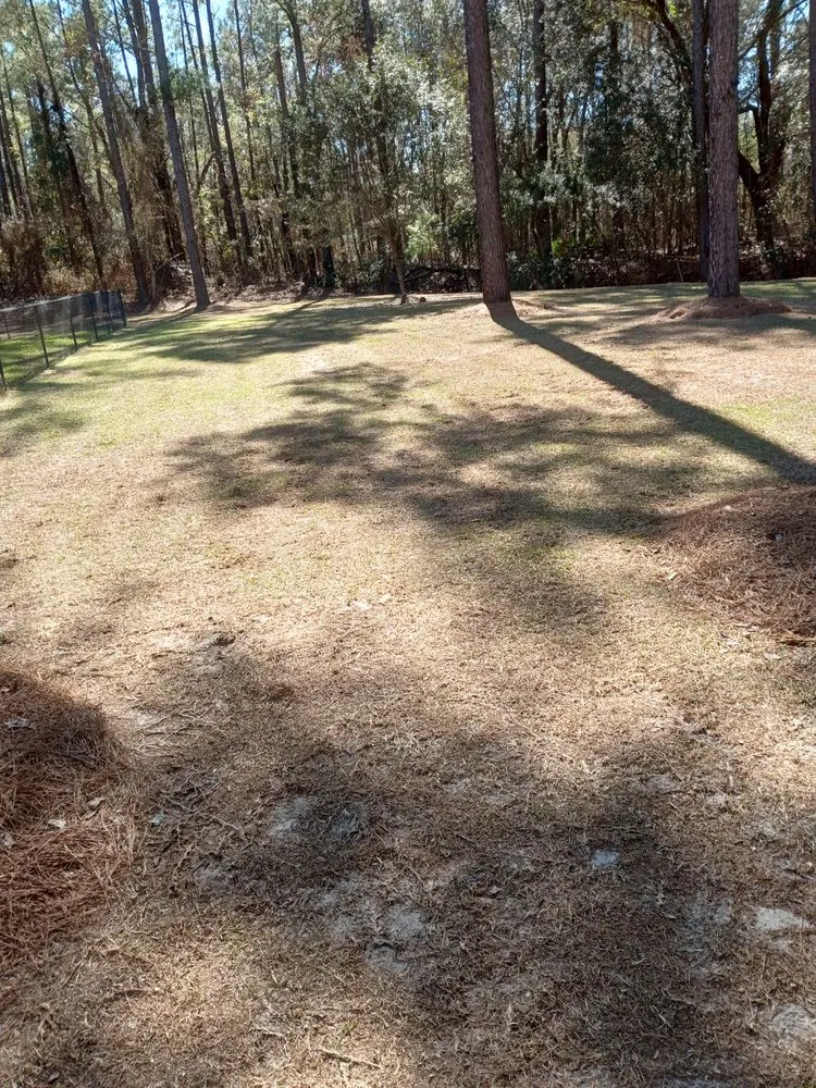 Affordable lawn care service experts serving Douglas, GA - Grass Busters Lawn Care