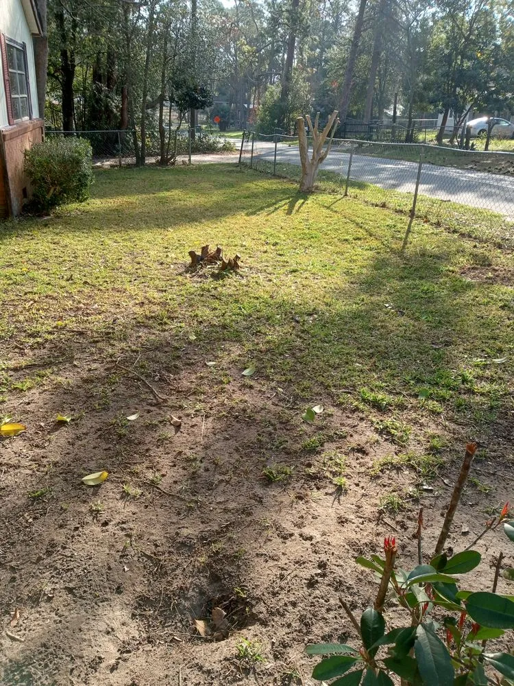 Affordable yard cleanup service in Douglas, GA by Grass Busters Lawn Care