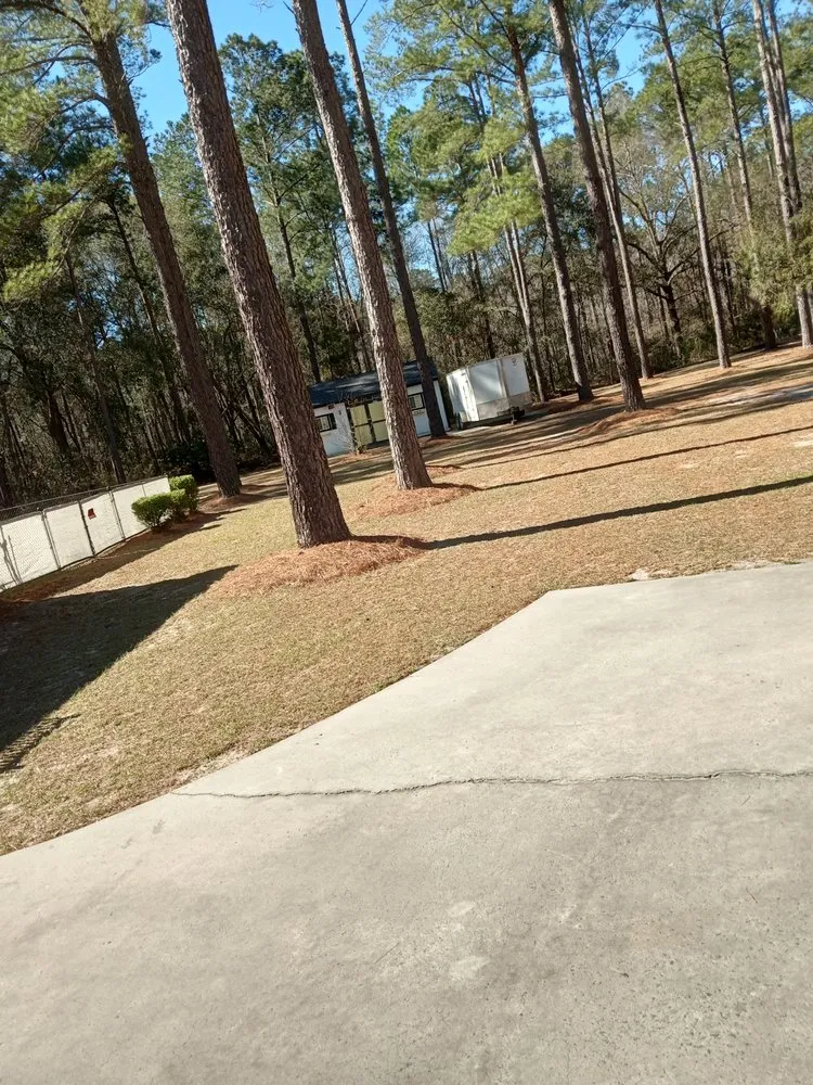 Top-rated landscape installation in Douglas, GA - Grass Busters Lawn Care