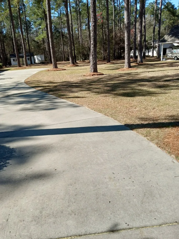 Affordable yard maintenance for residential properties in Douglas, GA by Grass Busters Lawn Care