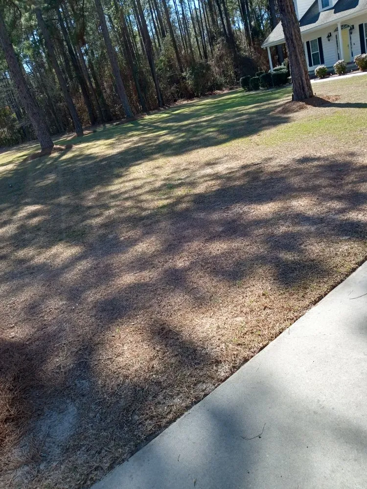 Custom lawn mowing service in Douglas, GA - Grass Busters Lawn Care