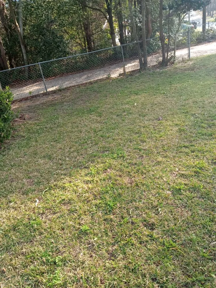 Professional yard cleanup service in Douglas, GA - Grass Busters Lawn Care