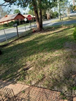 Grass Busters Lawn Care