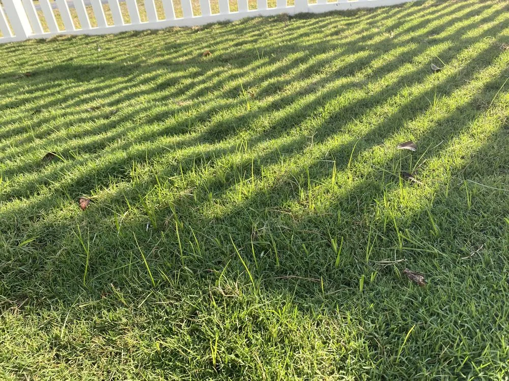 Local garden landscaping for outdoor upgrades across Myrtle Beach, SC - Grass Busters