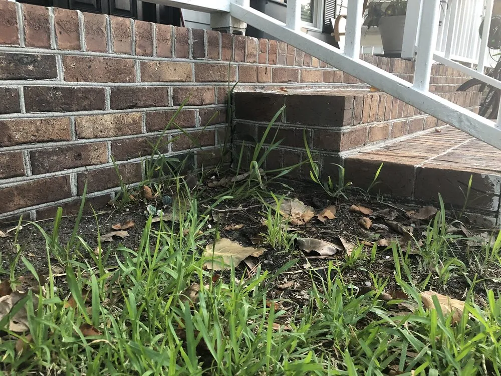 Professional yard maintenance in Myrtle Beach, SC by Grass Busters