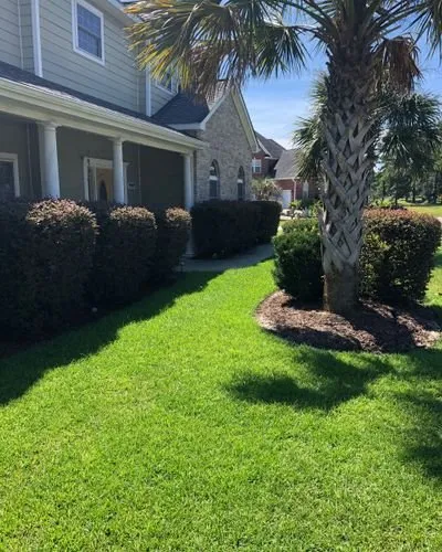 Local outdoor landscaping in Myrtle Beach, SC by Grass Busters