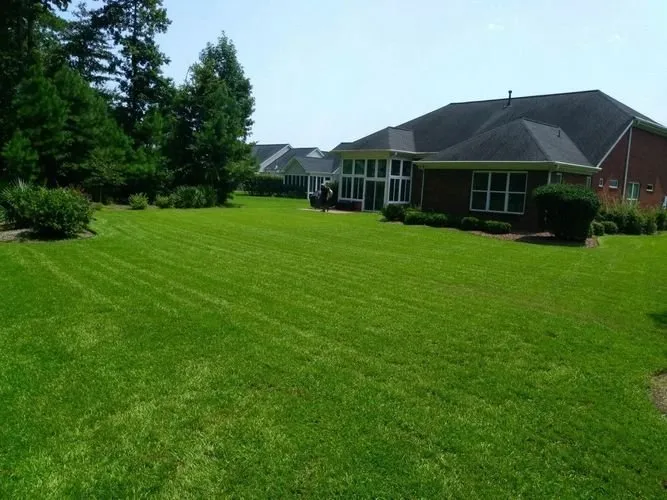 Expert outdoor landscaping for beautiful yards across Myrtle Beach, SC - Grass Busters