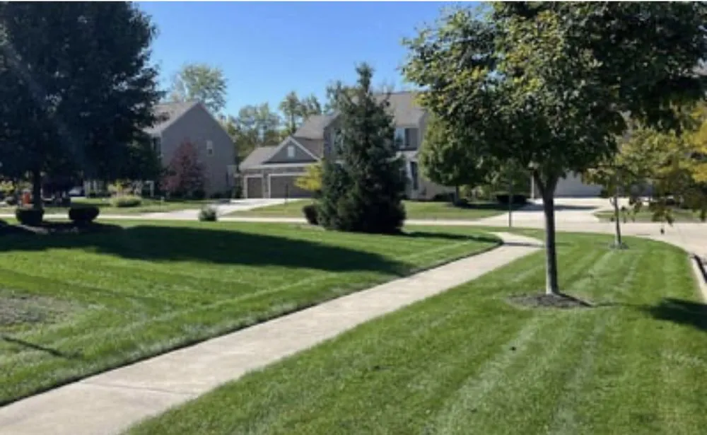 Top-rated yard maintenance in Barnesville, GA - Grass CareExperts