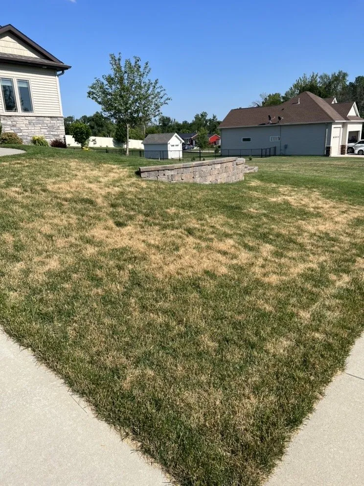 Affordable garden landscaping in Ely, IA by Grass Carpet Lawn Service