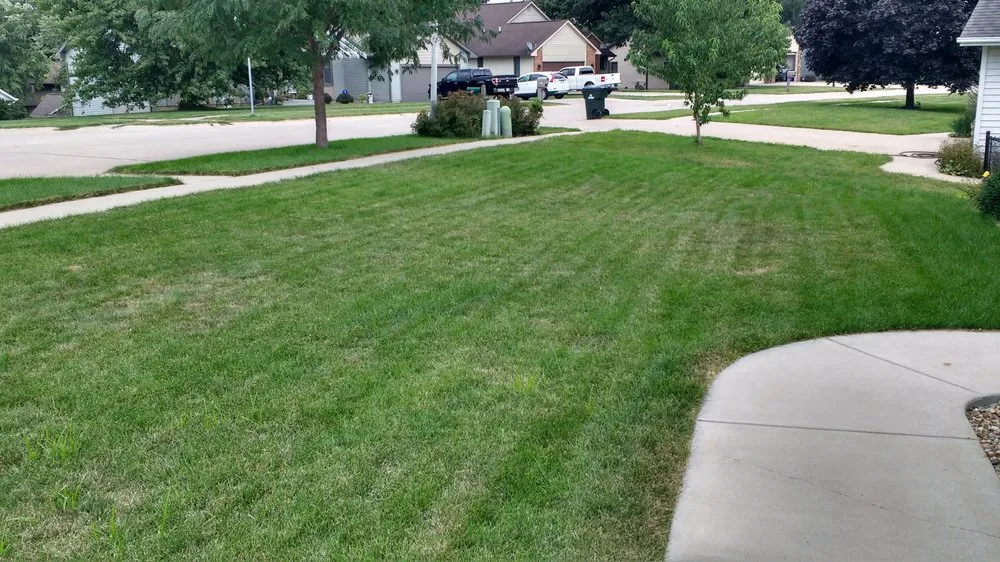 Affordable lawn mowing service experts serving Ely, IA - Grass Carpet Lawn Service