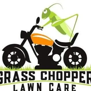 Grass Chopper Lawn Care