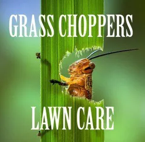 Expert residential landscaping near you across Port St. Lucie, FL - Grass Choppers Lawn Care