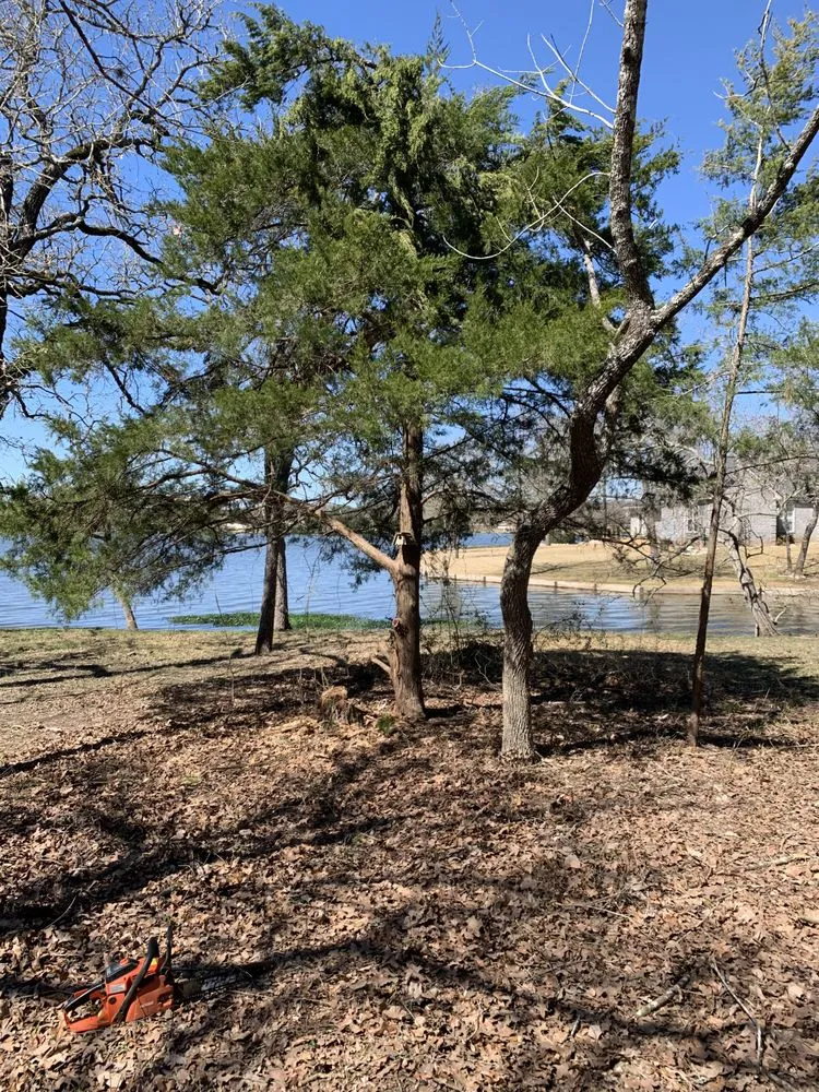 Affordable yard cleanup service in Bryan, TX by Grass Choppers Plus