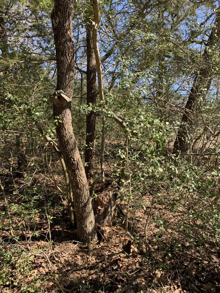 Expert outdoor landscaping in Bryan, TX - Grass Choppers Plus