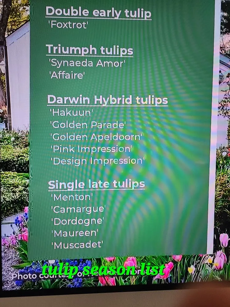 Custom garden landscaping experts serving Webb City, MO - Grass Choppers