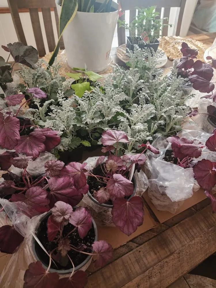 Professional garden landscaping for residential properties across Webb City, MO - Grass Choppers