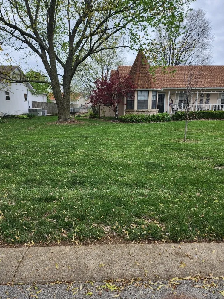 Reliable residential landscaping for beautiful yards across Webb City, MO - Grass Choppers