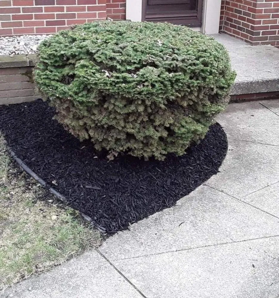 Top-rated landscaping services in Rossford, OH - Grass City Lawn & Land