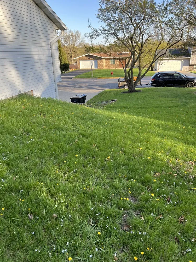 Professional landscape installation in Cottage Grove, WI - Grass Clippers