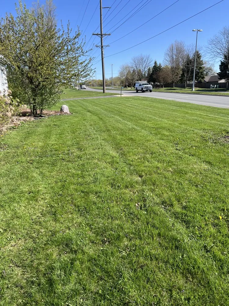Trusted landscape design experts serving Cottage Grove, WI - Grass Clippers
