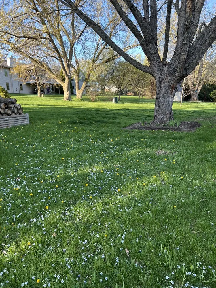 Local yard maintenance in Cottage Grove, WI - Grass Clippers
